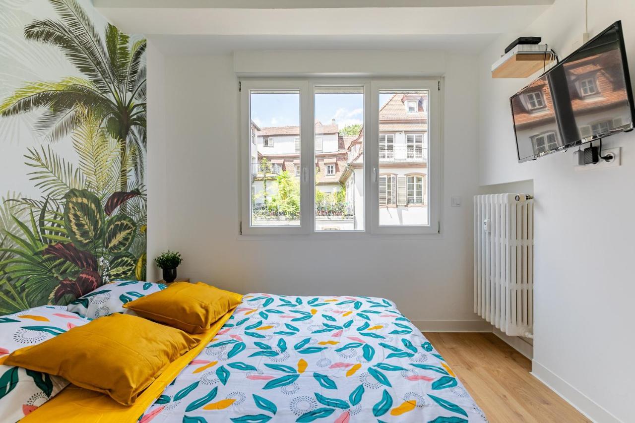 Apartamento Strasbourg Centre / Krutneau Exterior foto